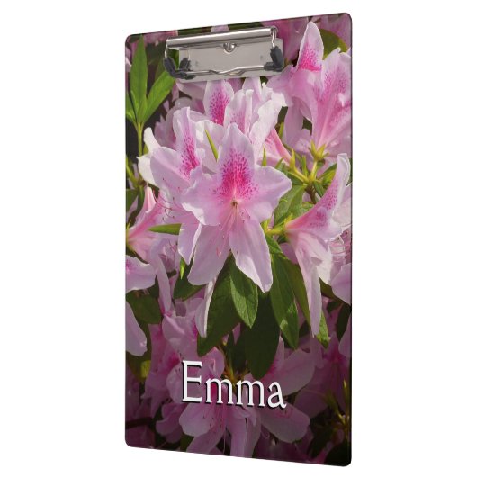 Roze Azalea Struik Spring Floral Klembord (Links)