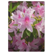 Roze Azalea Struik Spring Floral Klembord (Achterkant)