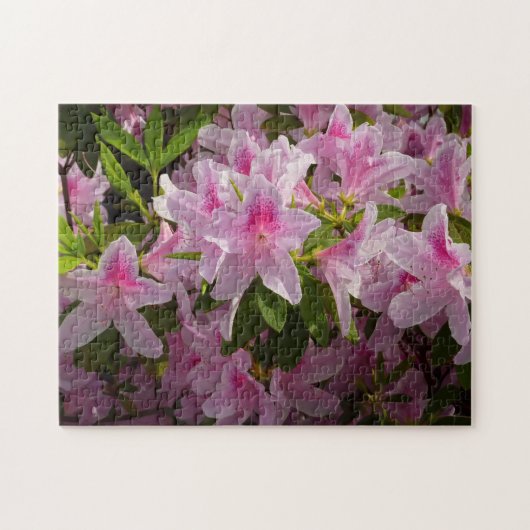 Roze Azalea Struik Spring Floral Legpuzzel (Horizontaal)