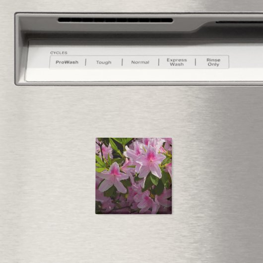 Roze Azalea Struik Spring Floral Magneet (Insitu (Vaatwasser))