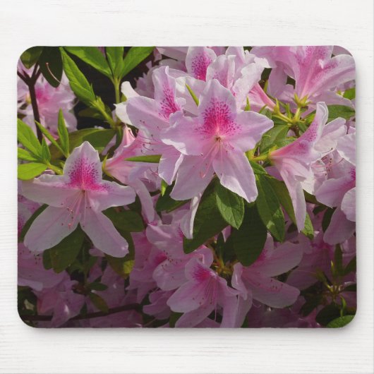Roze Azalea Struik Spring Floral Muismat (Voorkant)