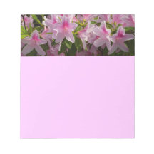 Roze Azalea Struik Spring Floral