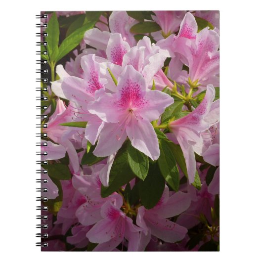 Roze Azalea Struik Spring Floral Notitieboek (Voorkant)