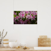 Roze Azalea Struik Spring Floral Poster (Keuken)