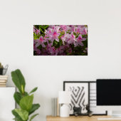 Roze Azalea Struik Spring Floral Poster (Thuiskantoor)