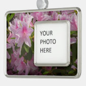 Roze Azalea Struik Spring Floral Verzilverd Omlijst Ornament (Links)