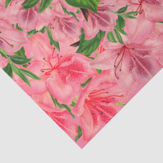 roze azalea tissuepapier (Detail)