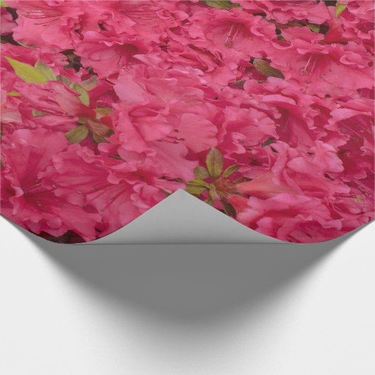 Roze Azalea-verpakkingspapier Cadeaupapier (Hoek)
