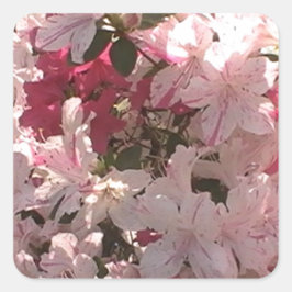 Roze Azalea Vierkante Sticker