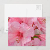 Roze azaleabloemen briefkaart (Voorkant / Achterkant)