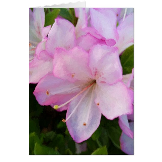 Roze Azaleas (Voorkant)