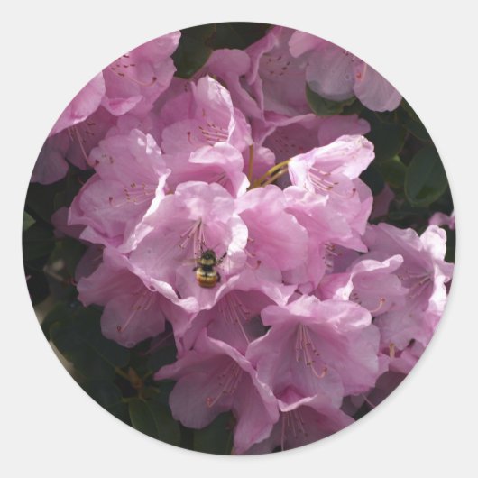 Roze Azalea's & Bee, Rhododendron Tuinbloemen Ronde Sticker (Voorkant)