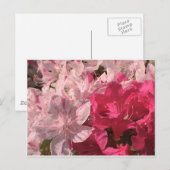 Roze Azaleas Briefkaart (Voorkant / Achterkant)