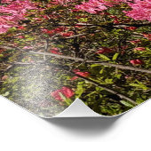  Roze Azaleas Floral Foto Afdruk (Hoek)