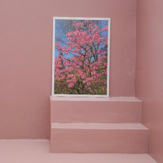  Roze Azaleas Floral Foto Afdruk