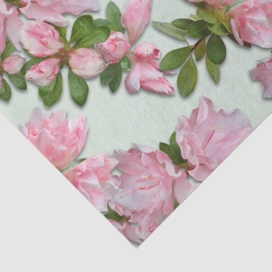 Roze Azaleas Floral Pattern Weefpapier Tissuepapier (Detail)