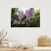 Roze Azaleas in Springtime Poster (Keuken)