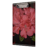  Roze Azaleas Klembord (Links)
