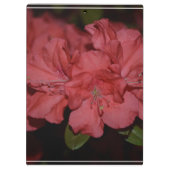  Roze Azaleas Klembord (Achterkant)