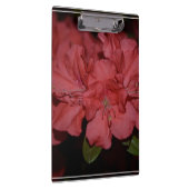  Roze Azaleas Klembord (Rechts)