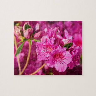 Roze Azaleas Legpuzzel
