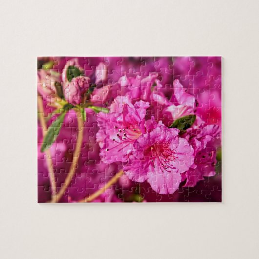 Roze Azaleas Legpuzzel (Horizontaal)
