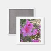 Roze Azaleas Magnet (Voorkant / Achterkant)