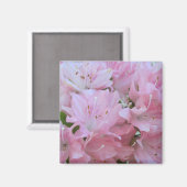Roze Azaleas Magnets Magneet (Voorkant / Achterkant)