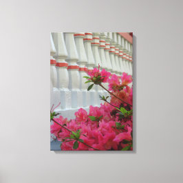 Roze Azaleas - Martha's wijngaard Canvas Afdruk