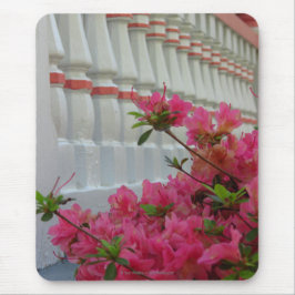 Roze Azaleas - Martha's wijngaard Muismat