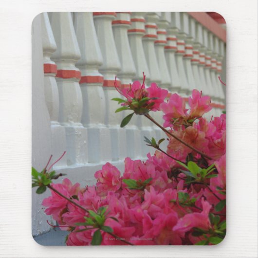 Roze Azaleas - Martha's wijngaard Muismat (Voorkant)