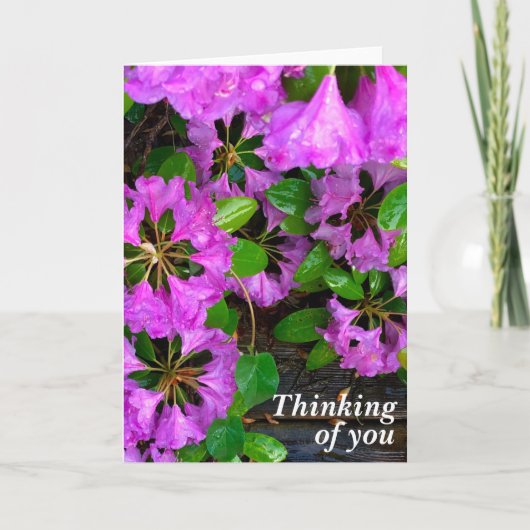 Roze Azaleasbloemen, bijtende hobbybostel Kaart (Voorkant)