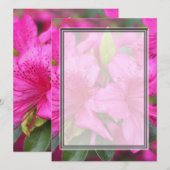 roze azaleatbloemen (Voorkant / Achterkant)