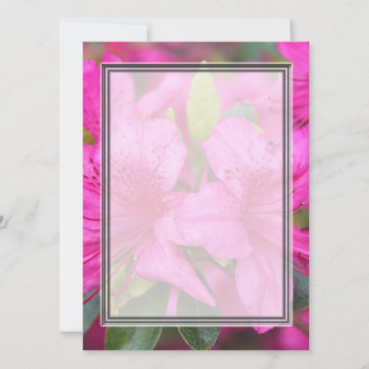 roze azaleatbloemen (Voorkant)