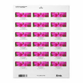  roze azaleatbloemen etiket (Full Sheet)