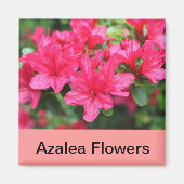 roze azaleatbloemen magneet (Voorkant)