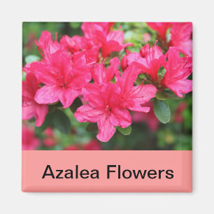 roze azaleatbloemen magneet