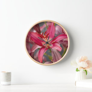 Roze Aziatische lelie, bloemenfotografie