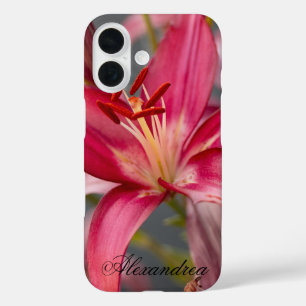 Roze Aziatische Lelie – Elegante Bloemenfotografie iPhone 16 Hoesje
