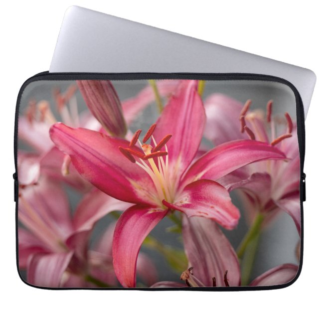 Roze Aziatische Lelie, Levendige Bloem Foto Laptop Sleeve (Voorkant)