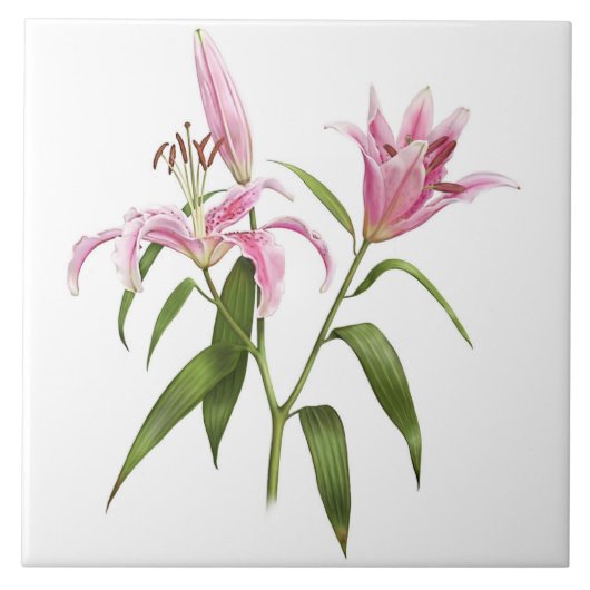 Roze Aziatische Stargazer Lily Botanische Kunst Tegeltje (Voorkant)