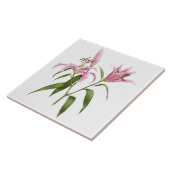 Roze Aziatische Stargazer Lily Botanische Kunst Tegeltje (Zijkant)
