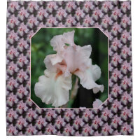 Roze Baard Iris Bloem Patroon