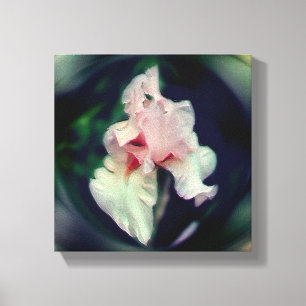 Roze Baardiris Bloem Kunst Canvas Afdruk