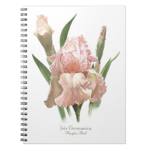 Roze Baardiris Notitieboek
