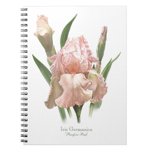 Roze Baardiris Notitieboek (Voorkant)