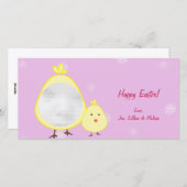 Roze Baby Chick Paasfotokaarten Feestdagenkaart (Voorkant / Achterkant)
