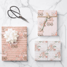 Roze baby Girl Carriage en Speys Inpakpapier Vel