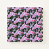 Roze baby's..... notitieboek (Achterkant)