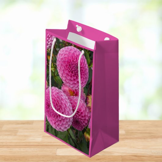 Roze bal Dahlias Floral Klein Cadeauzakje